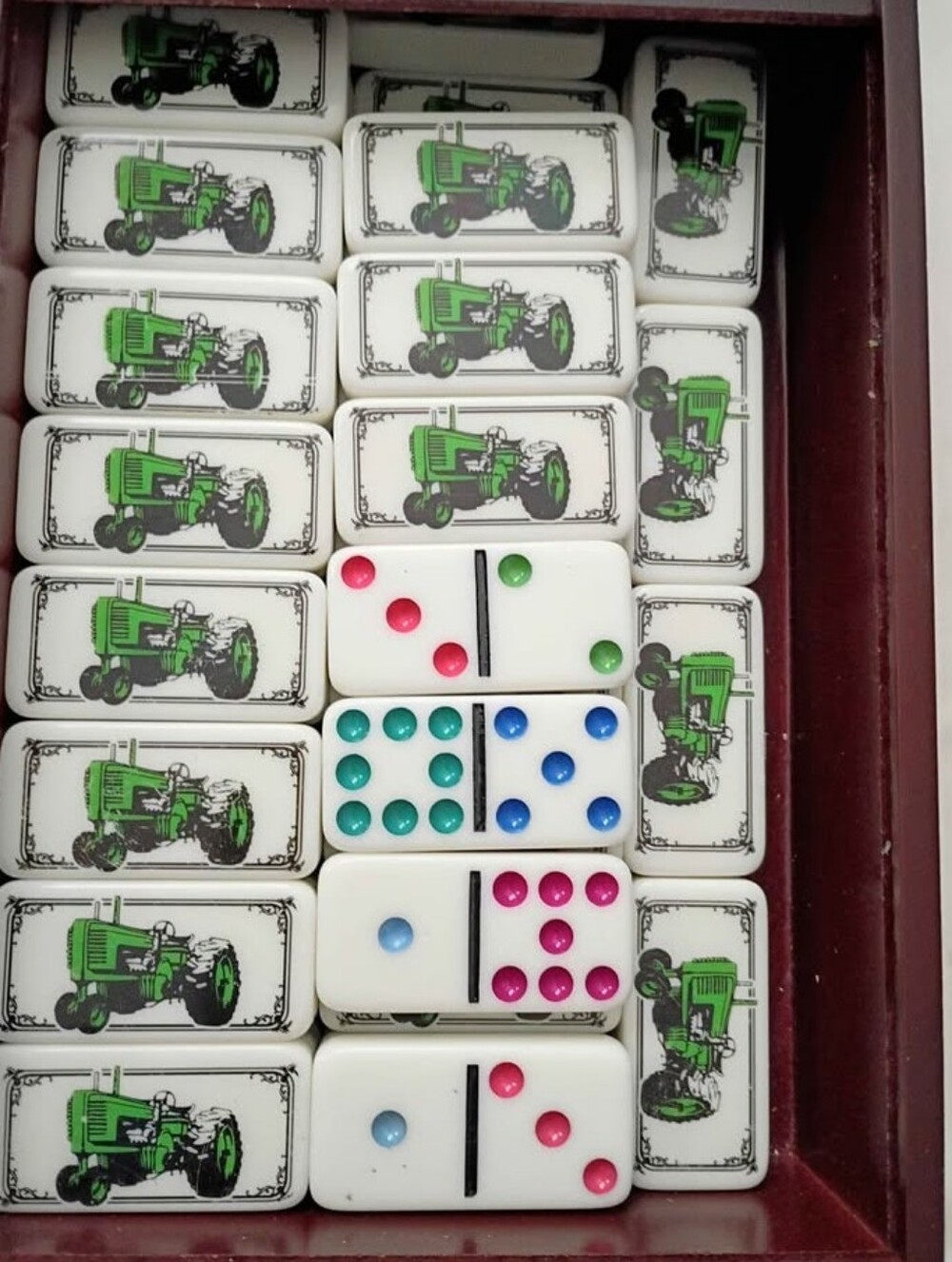 Domino's Game